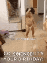 a baby is dancing in a room with the words `` go , science ! it 's your birthday '' .