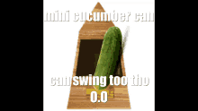 time waiting cucumber metronome mini gurke