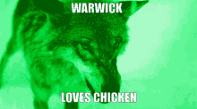 of warwick