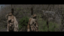 two skeletons hanging from ropes next to a sign that says pirates are wanted