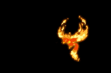 phoenix fire fly flame