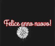 Capodanno Buon Anno Felice Anno Nuovo 31 Dicembre 1 Gennaio Primo Gennaio 2019 Benvenuto 2019 GIF