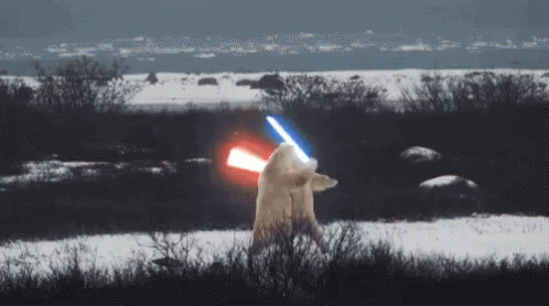 star-wars-polar-bears.gif