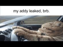 Addy Leaked GIF - Addy Leaked GIFs