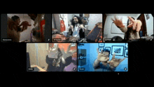 a group of people are having a video call and one of them is named xnicole