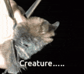 a person holding a bat with the word creature written below it