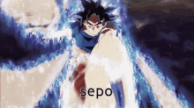Sepo Goku GIF - Sepo Goku Goku Ultra Instinct GIFs