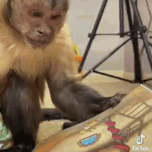 a monkey is playing with a book while sitting on the floor .