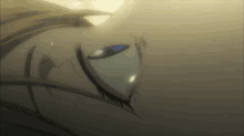 a close up of a person 's eye with a blue eye