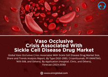 Vaso Occlusive Crisis Associated With Sickle Cell Disease Market GIF - Vaso Occlusive Crisis Associated With Sickle Cell Disease Market GIFs