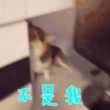 a blurry picture of a dog with chinese writing on the bottom