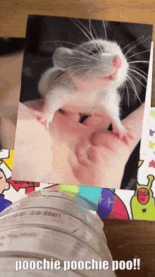 a person holding a small white mouse with the words poochie poochie poo on the bottom