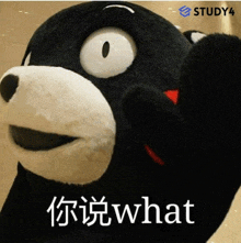 a stuffed animal says what in chinese