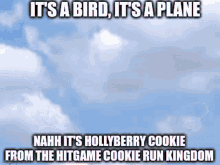 hollyberry cookie