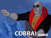 cobra destro gi joe a real american hero battle on the roof of the world the revenge of cobra