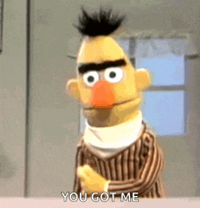 bert from sesame street is standing in front of a window and says you got me .