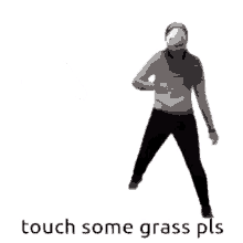 dream dreamwastaken dnf go touch some grass touch grass