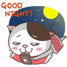 Cat Texting GIF - Cat Texting Good Night GIFs
