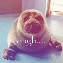 a seal laying down with the word ough written on it
