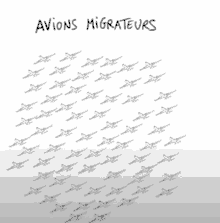 Migration Oiseau GIF