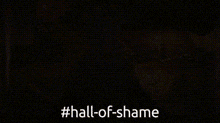 a person in a hooded jacket is standing in front of a shelf with candles and the words hall of shame .