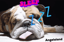 Sleepy Tired GIF - Sleepy Sleep Tired GIFs