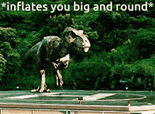 a statue of a dinosaur with the words inflates you big and round on the bottom