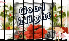 Goodnight Wishes GIF