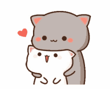 love mochi cat