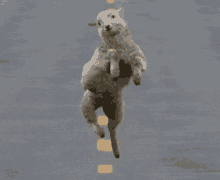 Sheep Dance GIF - Sheep Dance Dancing GIFs