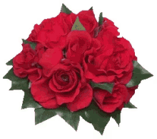 Roses Thank You GIF - Roses Thank You GIFs