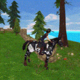 Star Stable Star Stable Online GIF - Star Stable Star Stable Online Yasmine Waterfall GIFs