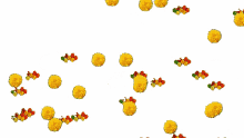 transparent animated