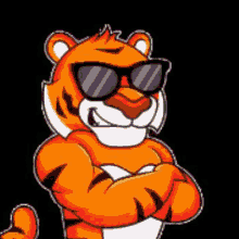 Tigerplayz Tigersir GIF - Tigerplayz Tigersir Tigerking GIFs