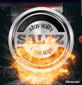 Saltz Salam Asin GIF - Saltz Salam Asin GIFs