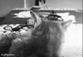 a black and white photo of a cat laying on a bed with a remote control