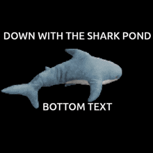 Shark Pond GIF - Shark Pond Shark GIFs