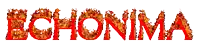 the word echonima is written in red flames