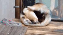 a small animal laying on a wooden table with a blanket