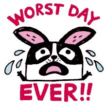 pudding funny animals the cry baby dog worst day ever