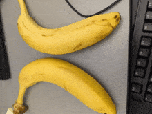 Two Bananas GIF - Two Bananas GIFs
