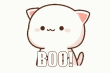 Boo Kitten GIF - Boo Kitten GIFs