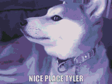 Tyler Nice Place GIF - Tyler Nice Place Anime GIFs