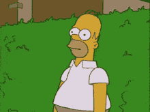 Homer Backing Into Bushes GIFs | Tenor