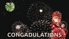Fireworks Congratulations GIF