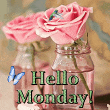 Hello Monday GIF - Hello Monday GIFs