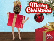 feliz navidad merry christmas gift naked cat