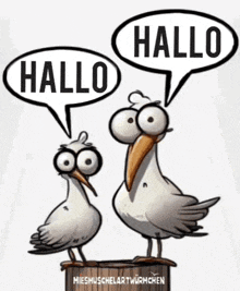 two seagulls standing next to each other with speech bubbles saying hallo