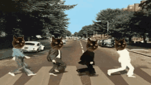 Beatles Cat GIF