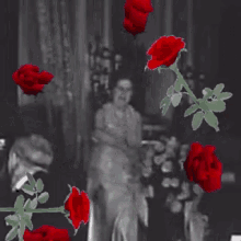 Florence Foster GIF - Florence Foster Jenkins GIFs